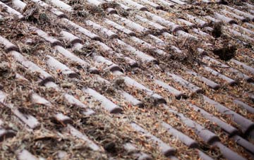 Trimley St Martin roof cleaning companies